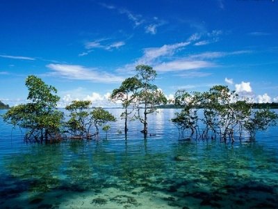 Andaman Tour Packages From Pune